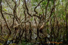 3-IMG_0754-HDR-Pano