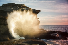 Maroubra springs